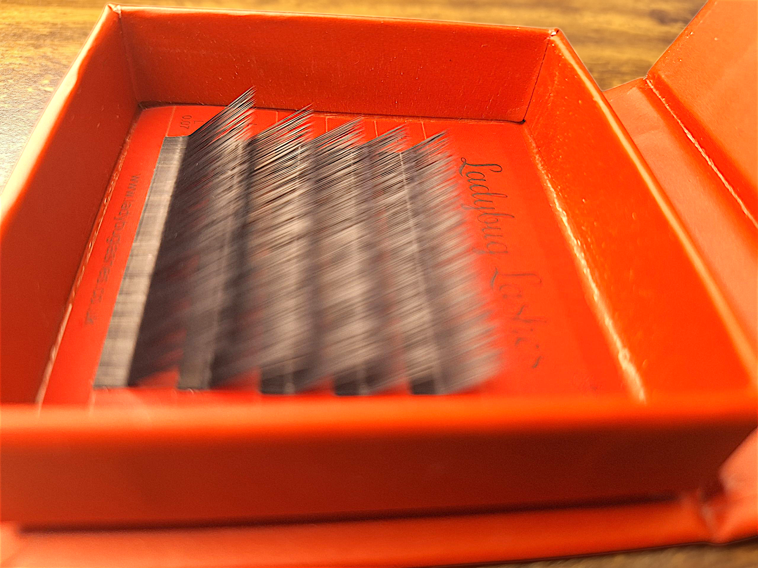 L Curl Flat Lash Sample – 0.15 Thickness | 5 Rows