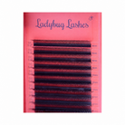 Ladybug Lashes Brown 4D Clover Tray infographic showing product features and fan detail on branded background