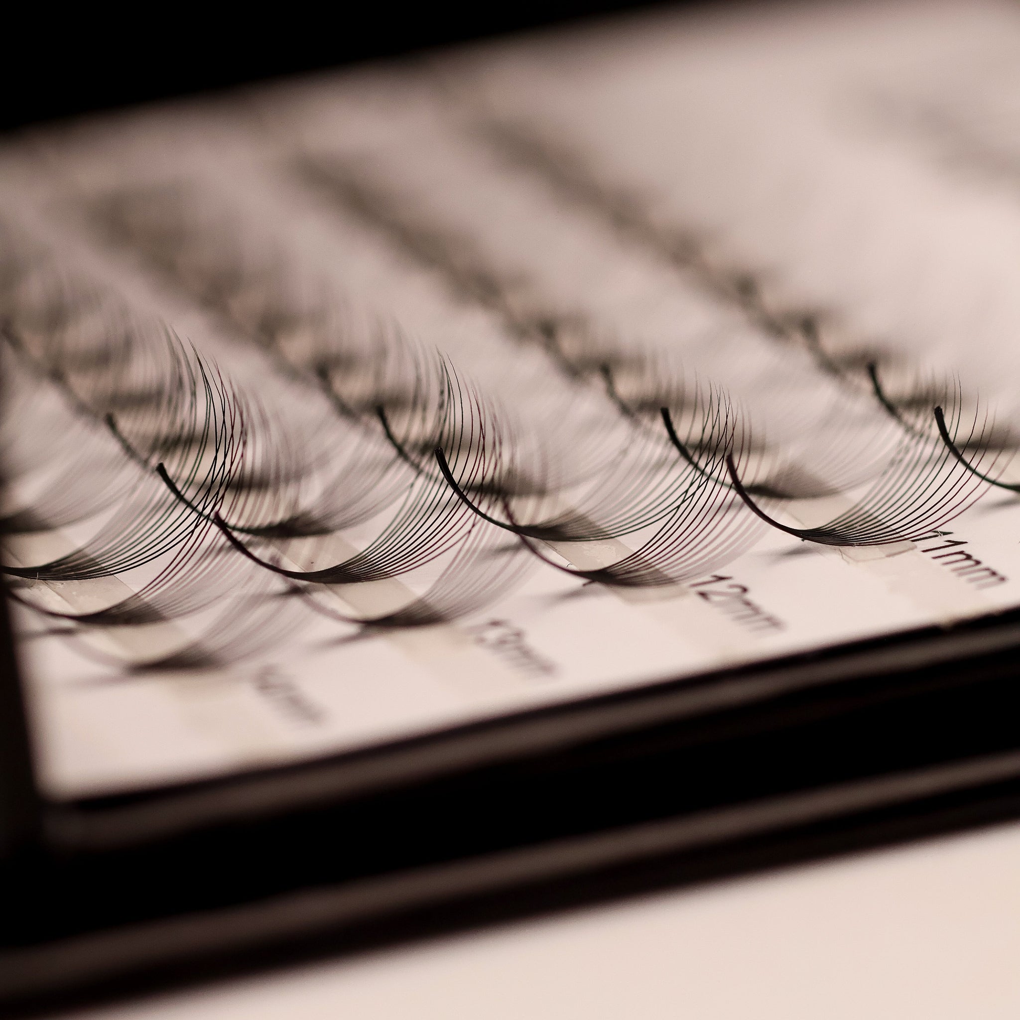 Ladybug Lashes Platinum Promade Ultra Black ultra close-up on tray showing individual fan separation and ultra black curl definition