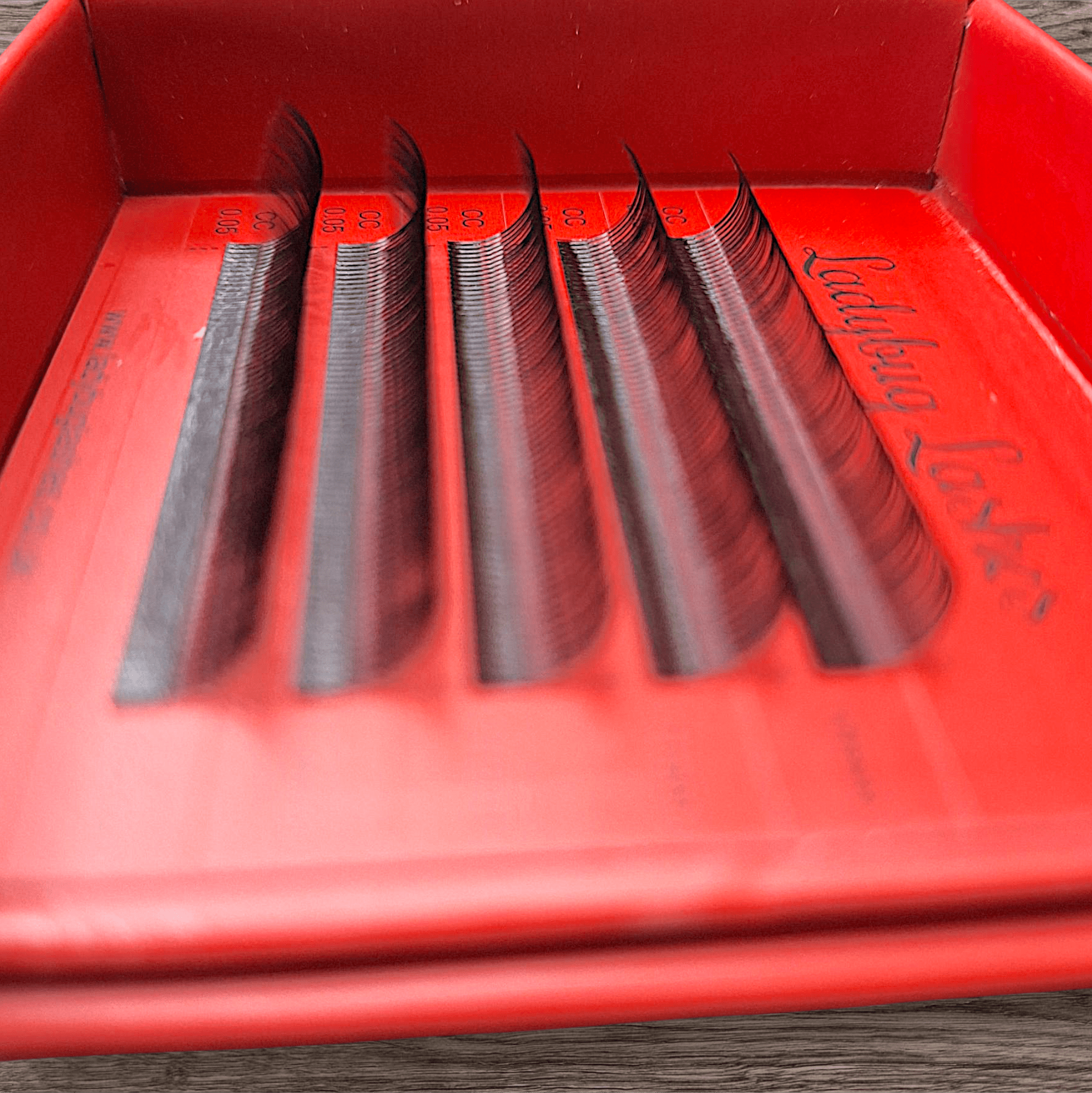 ladybuglashes lashglue lashtrays lashadhesive glueretention cloverlashes wlashes yylashes premades promades lashes