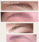 Brow growth results using LADYBUGLASHES Lash & Brow Conditioning Serum – before and after