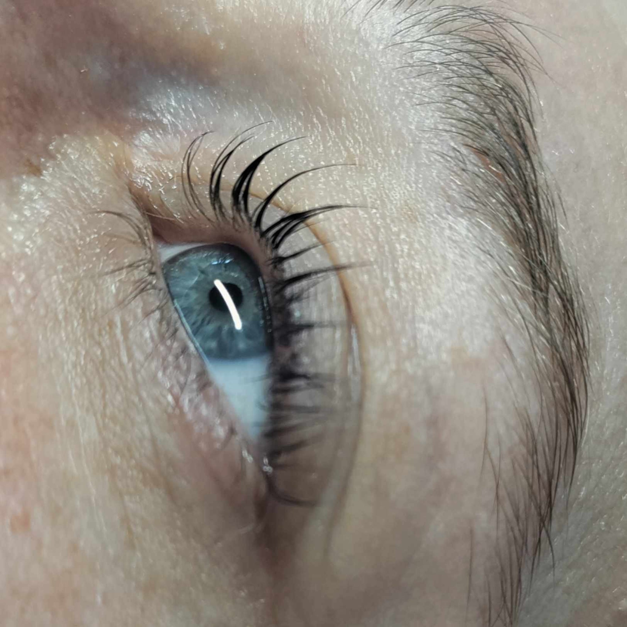 Ladybug Lashes Lash Lift Online Training Course student result extreme close-up showing open blue-grey eye with freshly lifted and curled sparse natural lashes and untreated brow from diagonal angle — alternate view