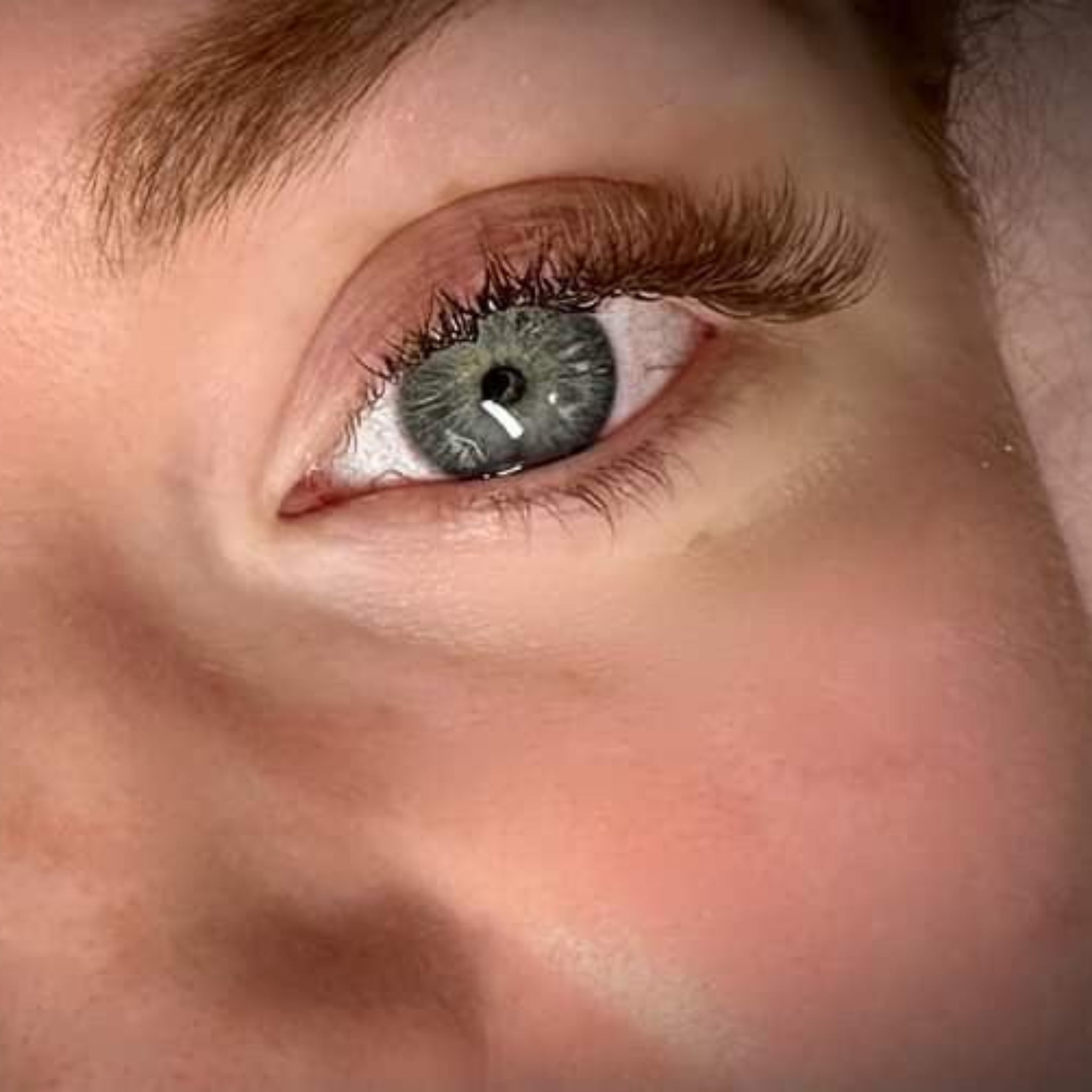 Completed Ladybug Lashes Brown YY Lash lash set showing curl and density from side angle