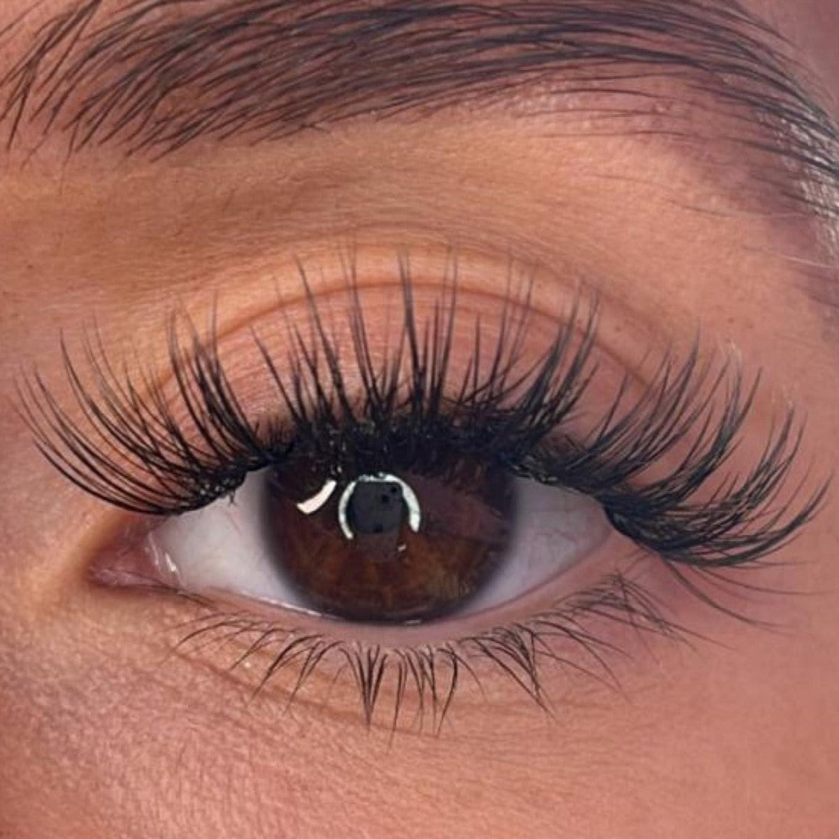Lash Ribbons Logan DIY Lash Clusters – product image 2