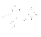 Loose Premade Fans – Mixed Box 6D