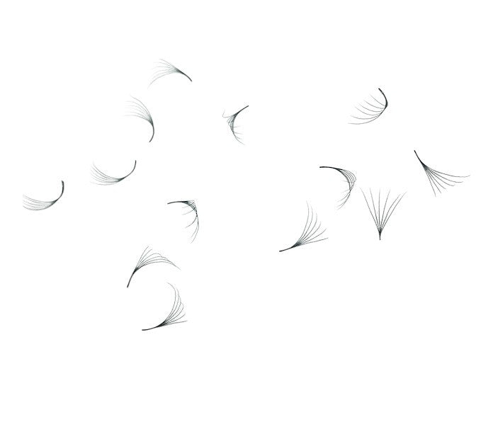 Loose Premade Fans – Mixed Box 6D