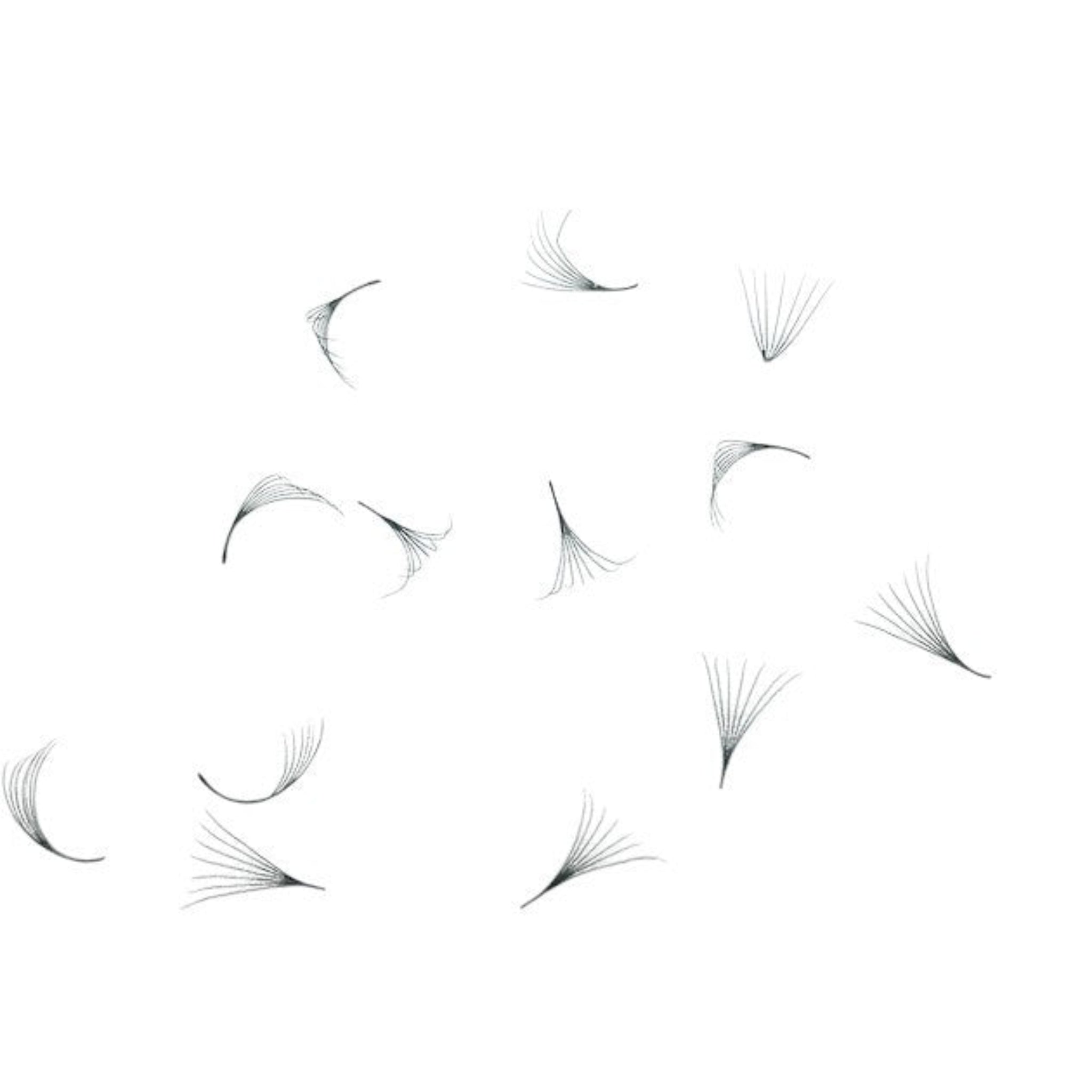ladybuglashes lashglue lashtrays lashadhesive glueretention cloverlashes wlashes yylashes premades promades lashes