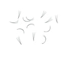 Loose Premade Fans – Mixed Box 3D