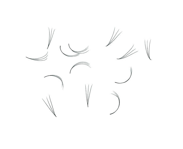 Loose Premade Fans – Mixed Box 3D