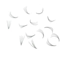 Loose Premade Fans – Mixed Box 4D