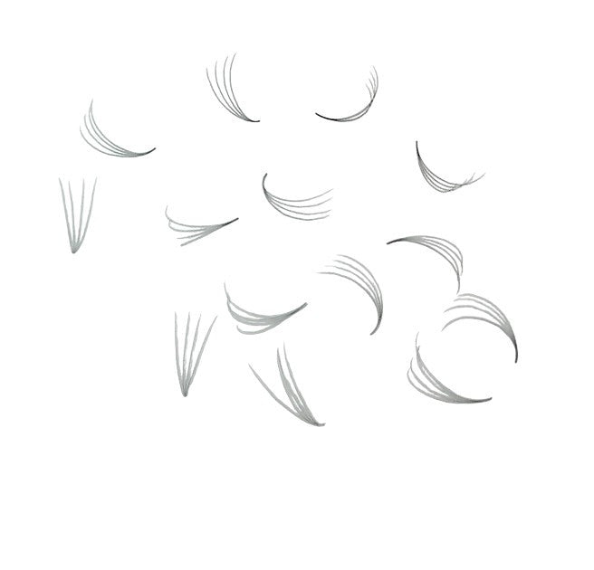 Loose Premade Fans – Mixed Box 4D