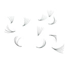 Loose Premade Fans – Mixed Box 5D