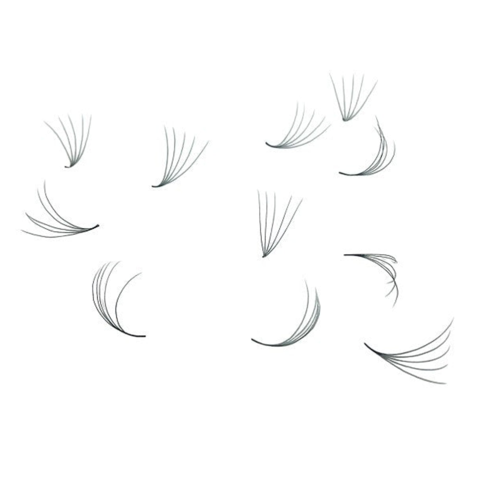 ladybuglashes lashglue lashtrays lashadhesive glueretention cloverlashes wlashes yylashes premades promades lashes