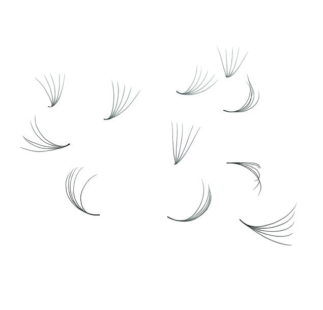 Loose Premade Fans – Mixed Box 5D