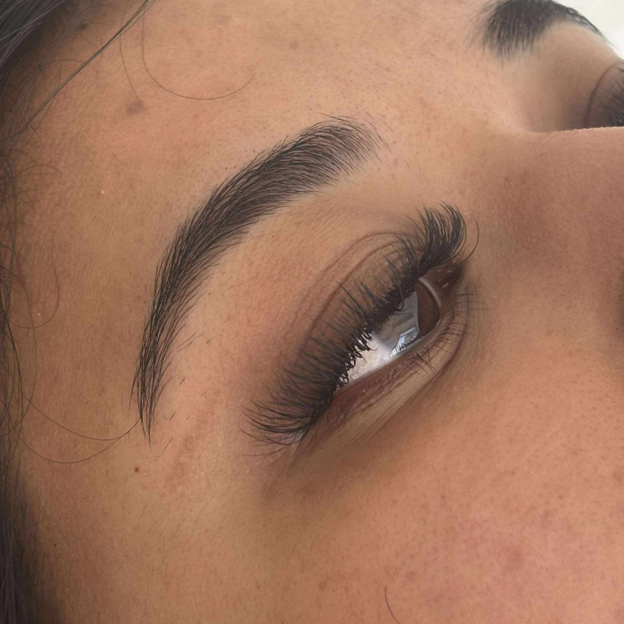 ladybuglashes lashglue lashtrays lashadhesive glueretention cloverlashes wlashes yylashes premades promades lashes