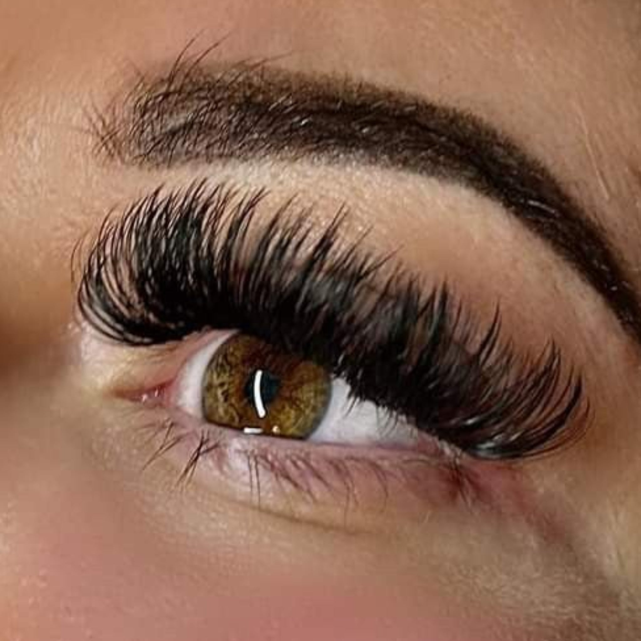 ladybuglashes lashglue lashtrays lashadhesive glueretention cloverlashes wlashes yylashes premades promades lashes