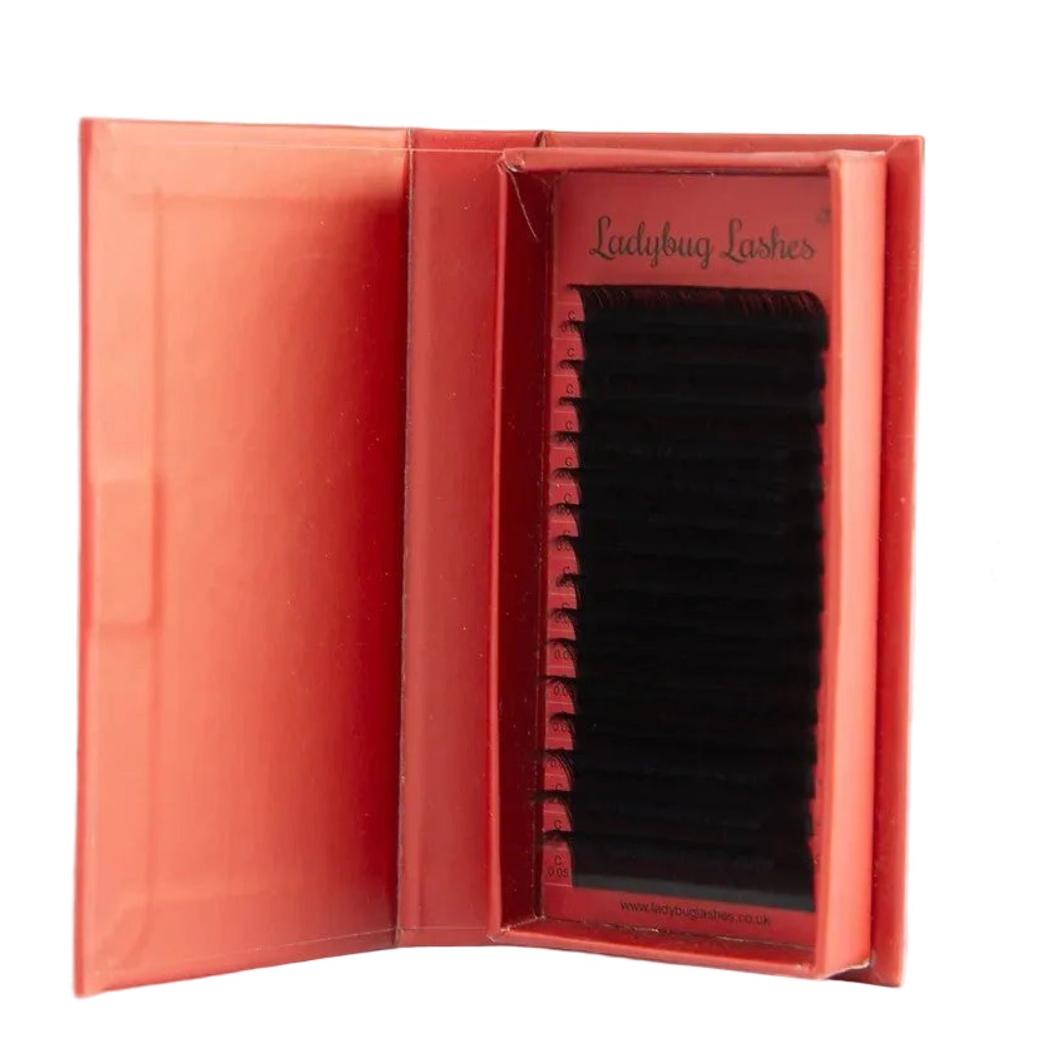 ladybuglashes lashglue lashtrays lashadhesive glueretention cloverlashes wlashes yylashes premades promades lashes