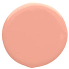 ladybuglashes lashglue lashtrays lashadhesive glueretention cloverlashes wlashes yylashes premades promades lashes