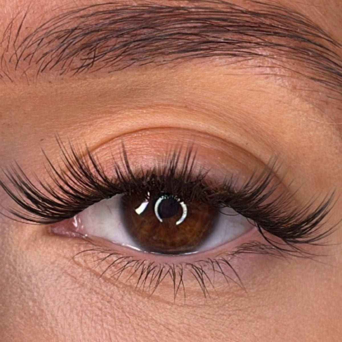 Lash Ribbons Nola DIY Lash Clusters – product image 2