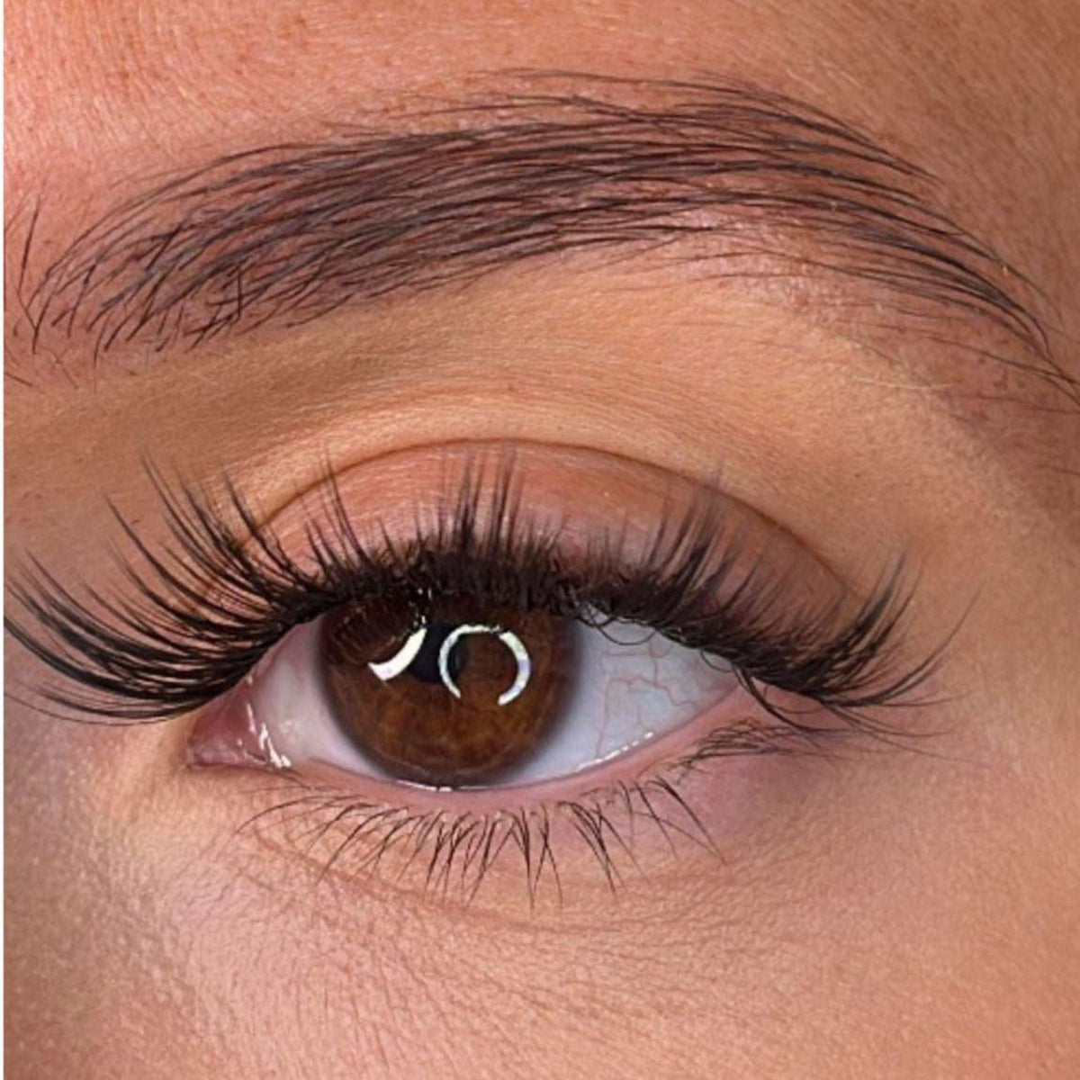 Lash Ribbons Nola DIY Lash Clusters – product image 3