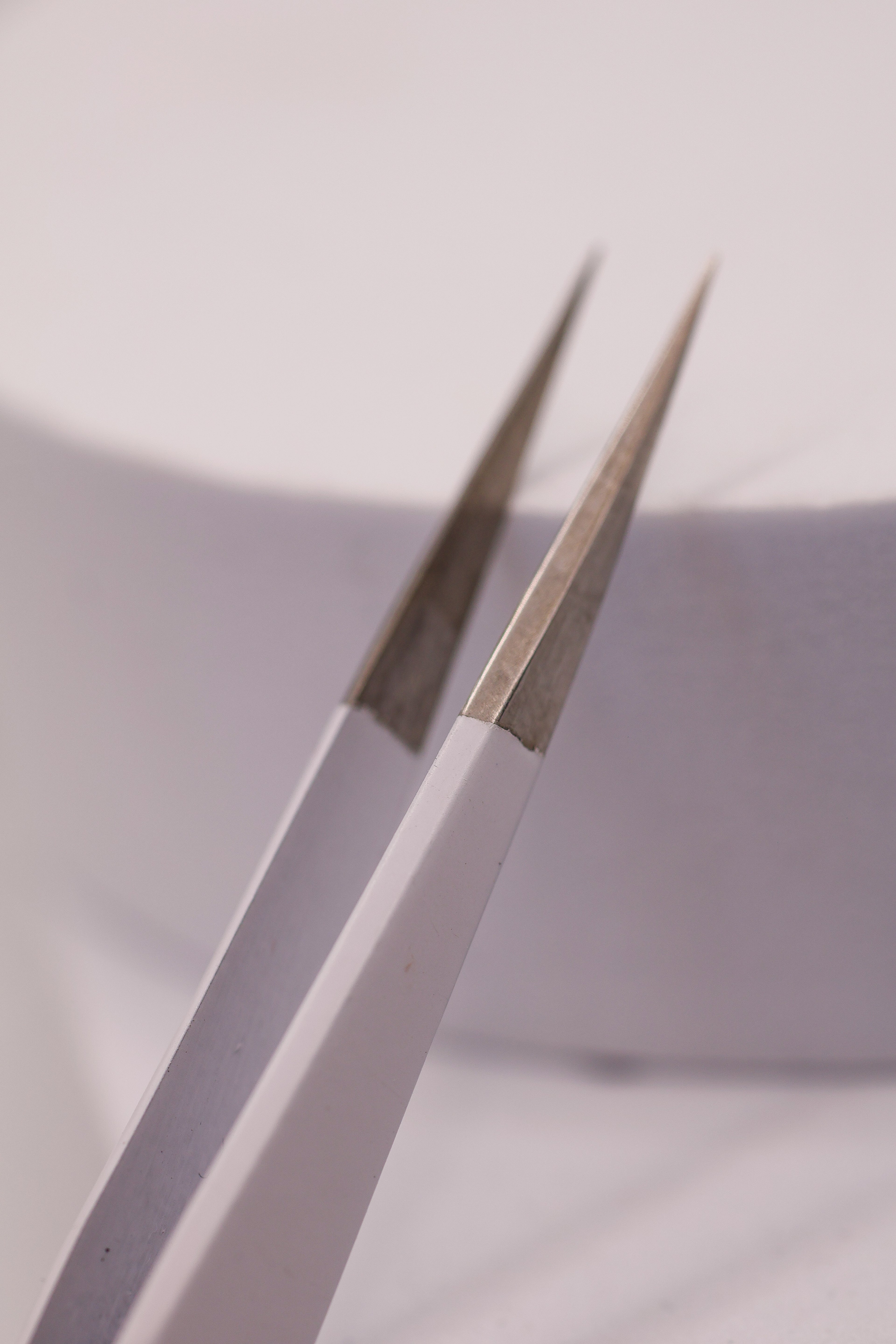 LADYBUGLASHES Straight Tip Isolation Tweezers – smooth fibre-free tip, alternative angle