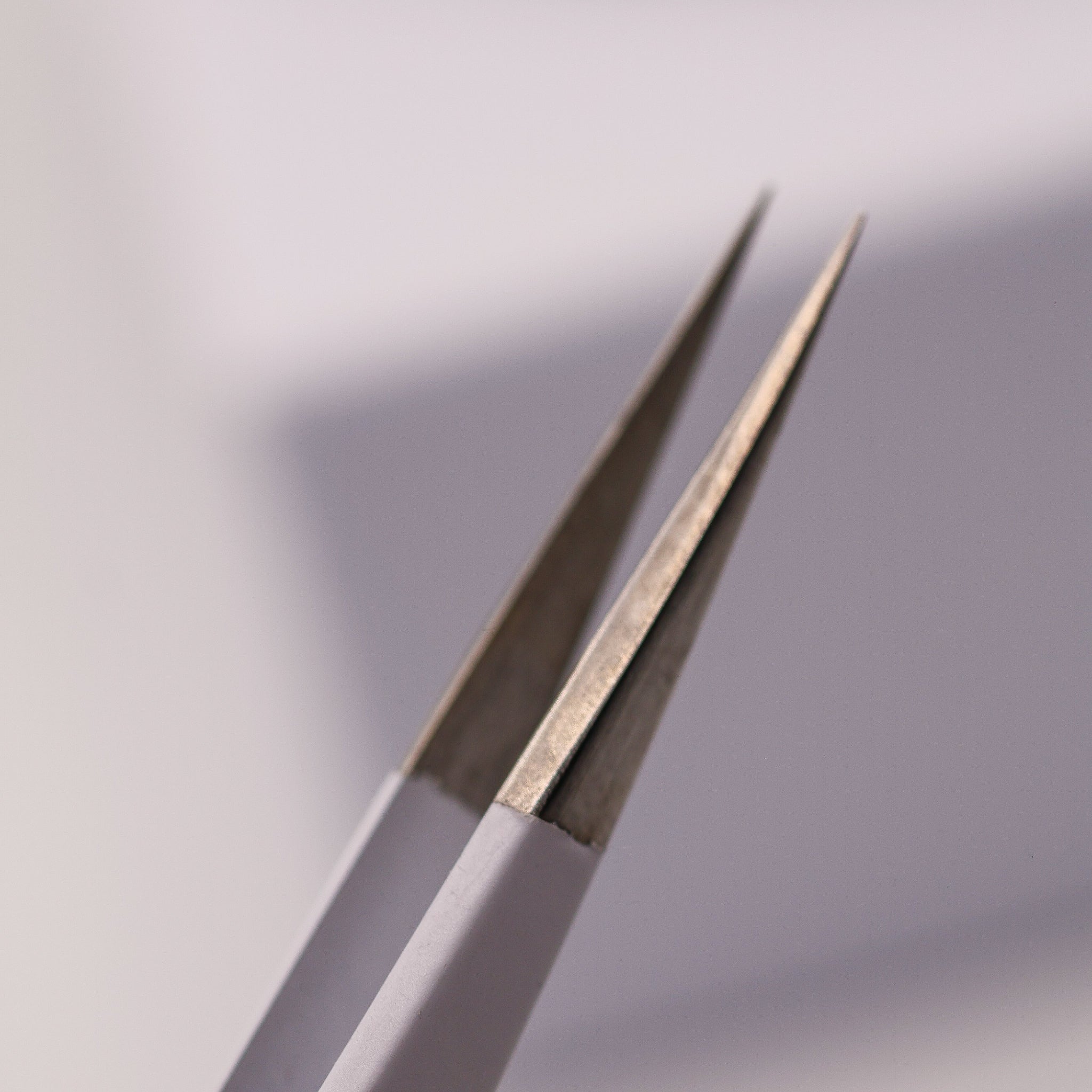 Close-up of LADYBUGLASHES Straight Tip Isolation Tweezers – smooth tip detail