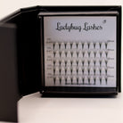 1.	Ladybug Lashes Sample Tray Platinum Promade Ultra Black open in branded box showing multiple curl and dimension options front-facing view