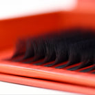 Ladybug Lashes U-Lashes Double Classics close-up showing U-shaped lash extension structure and flat bonded bases from side angle