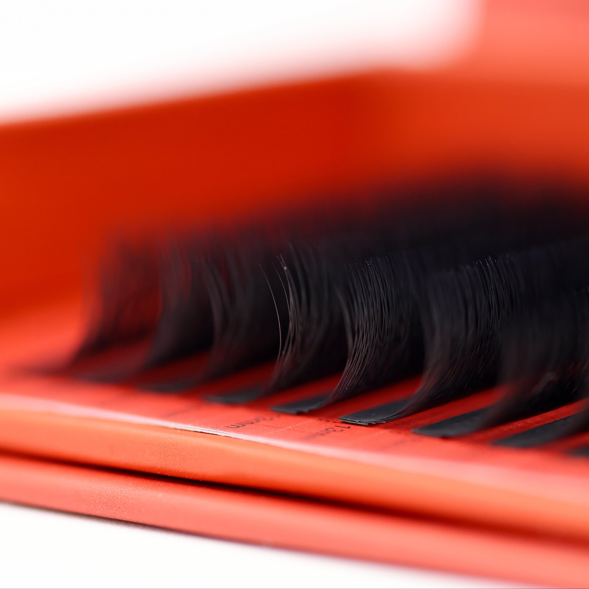 Ladybug Lashes U-Lashes Double Classics close-up showing U-shaped lash extension structure and flat bonded bases from side angle