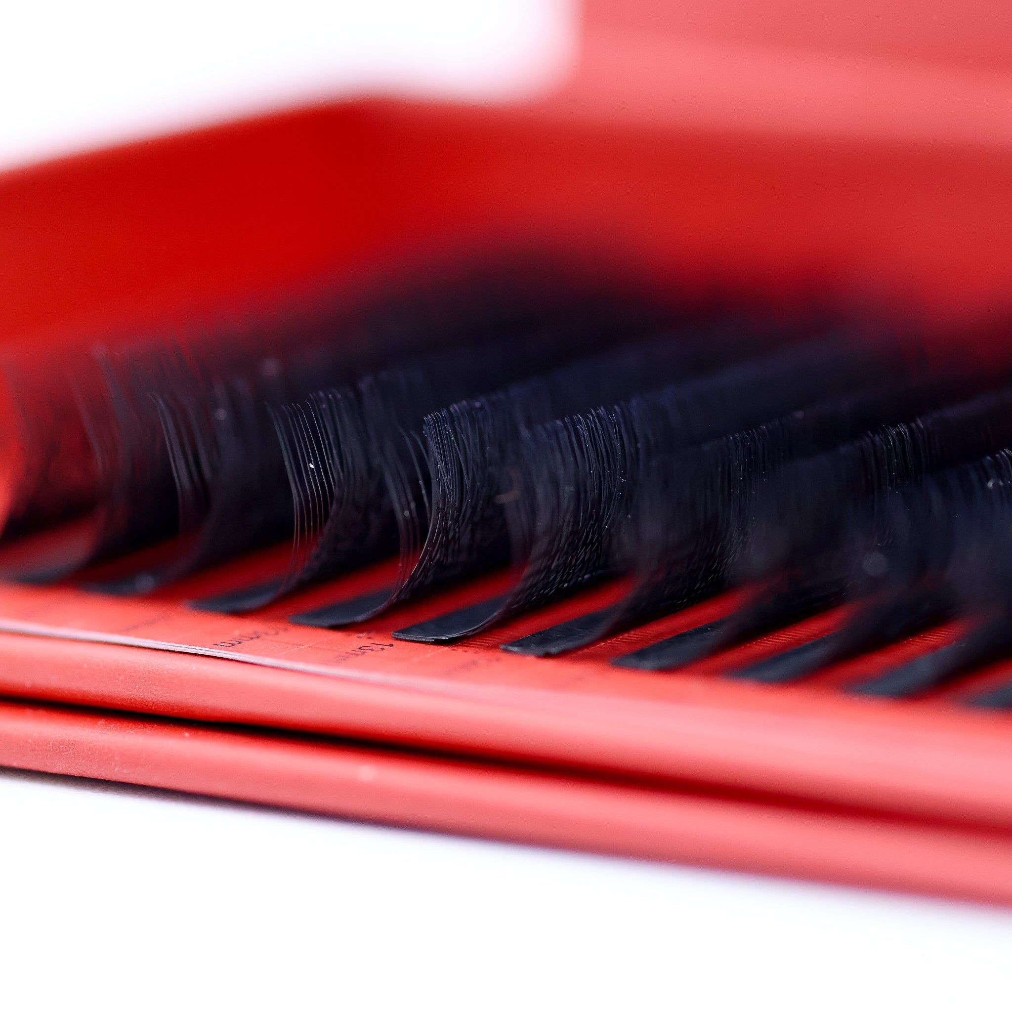 Ladybug Lashes Fairy Lashes Single Length 16 Row Tray close-up showing lash texture and fan detail from above