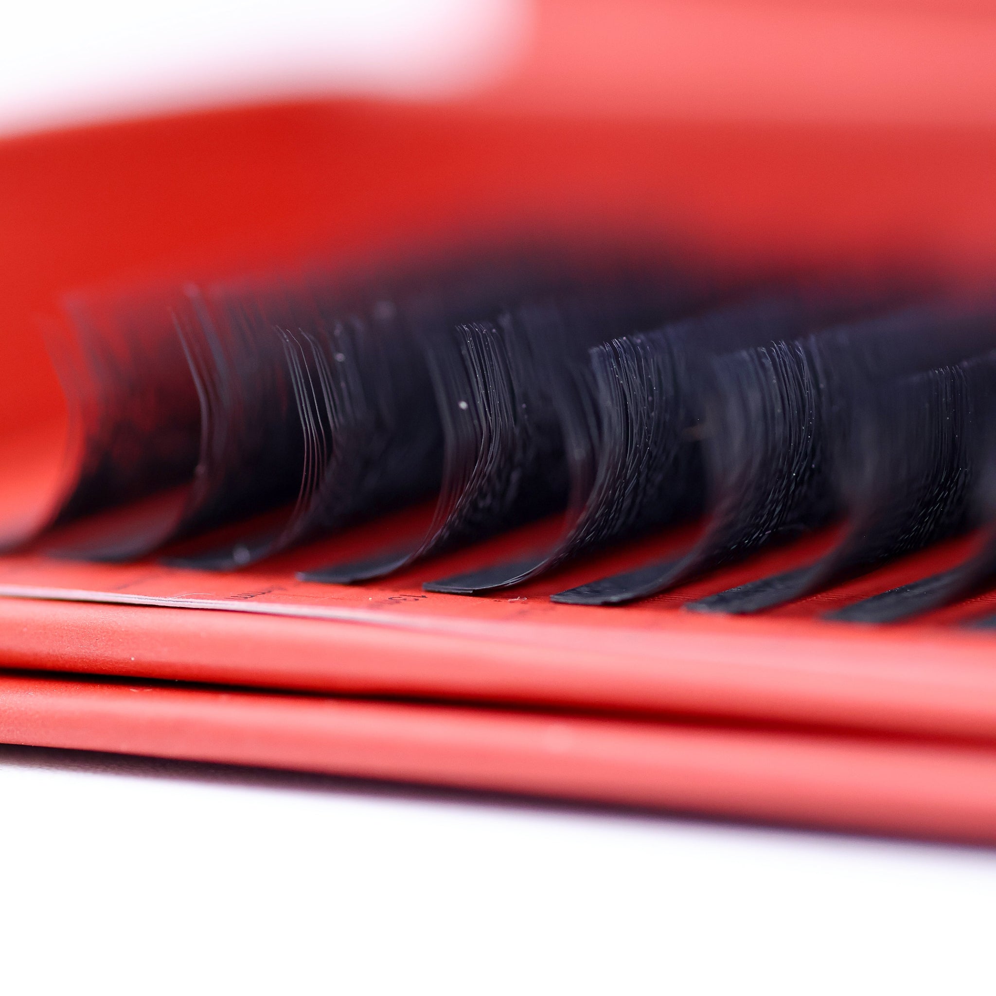 Ladybug Lashes Fairy Lashes Single Length 16 Row Tray close-up showing lash separation and curl detail from front angle