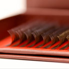 Ladybug Lashes Brown YY Lash 16 Row Tray close-up showing YY lash separation and tip detail from front angle