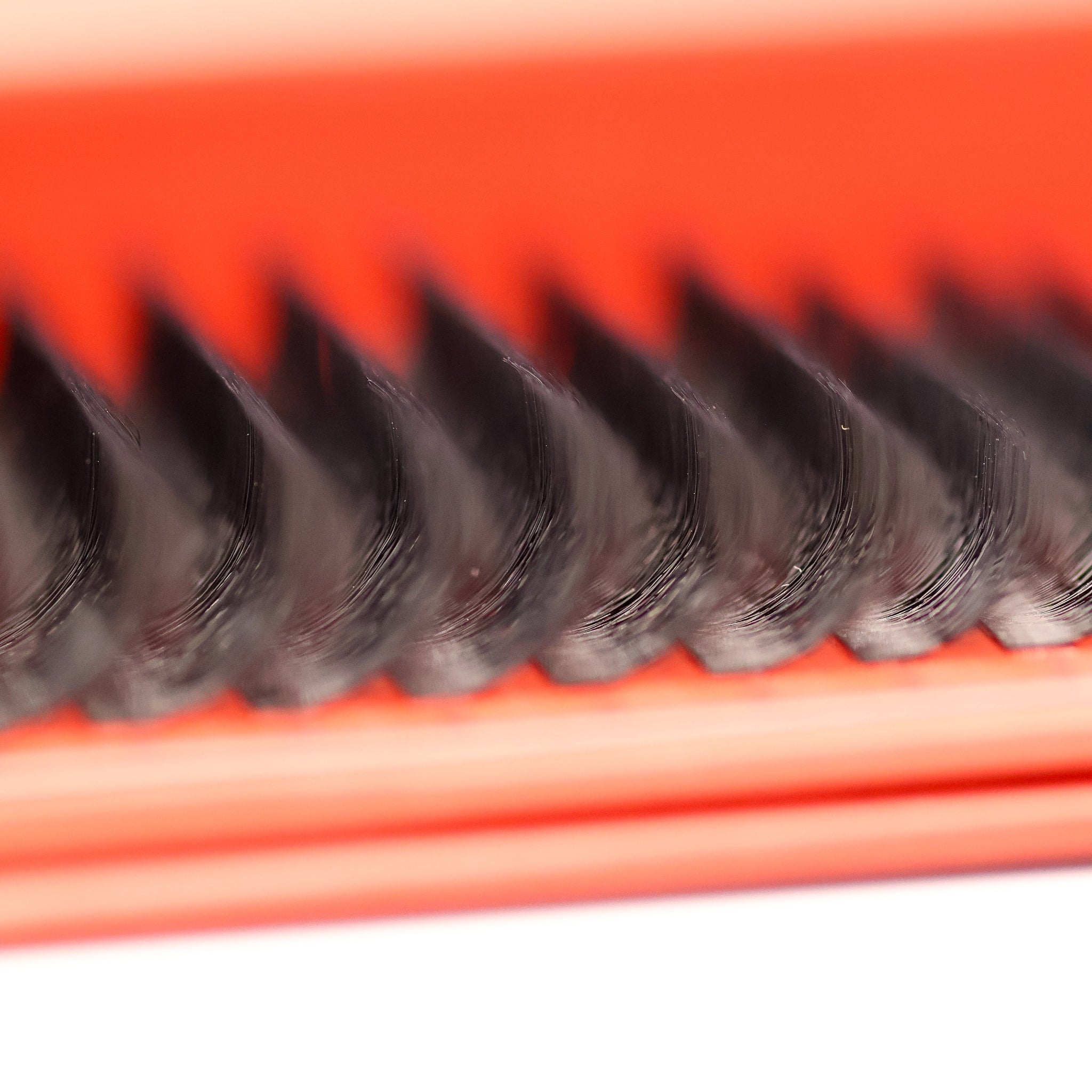 Ladybug Lashes 8D Clover Lash 16 Row Tray close-up showing clover fan texture and tip detail from above