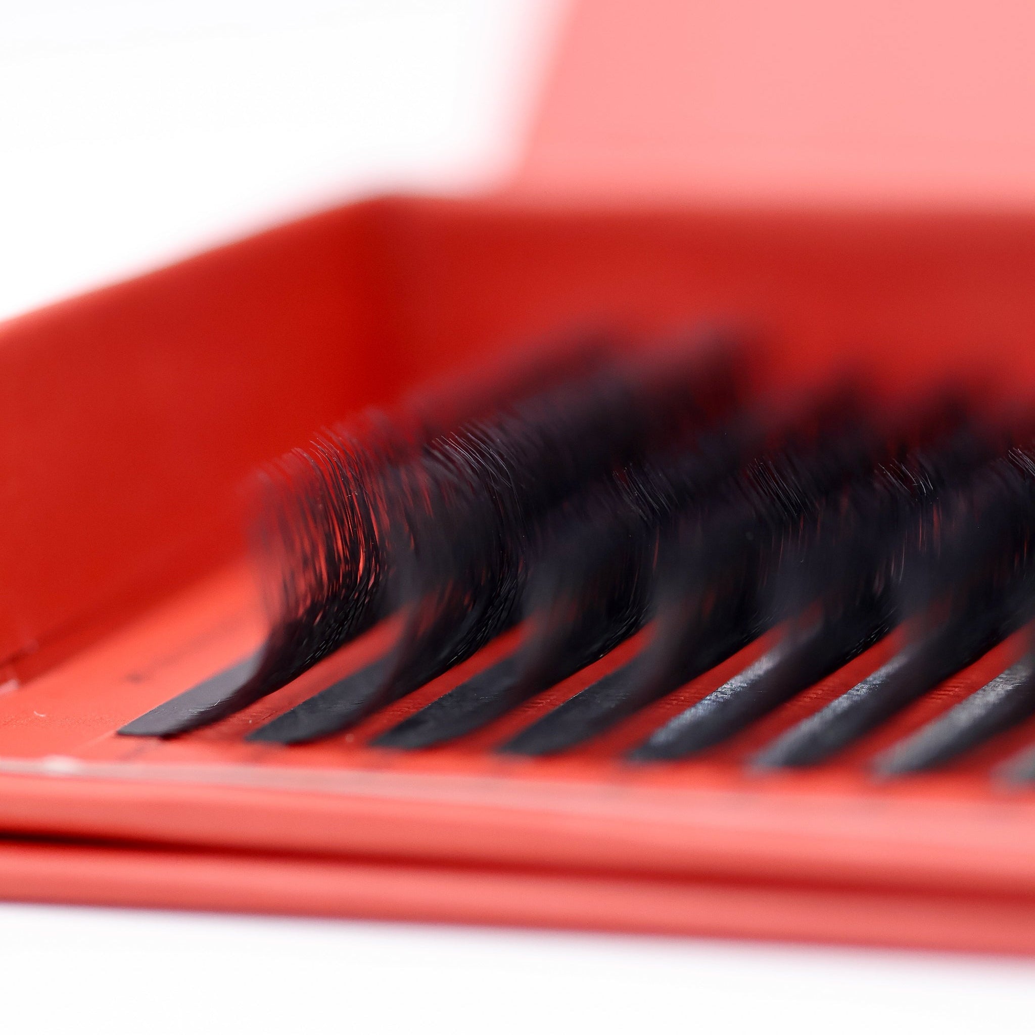 Ladybug Lashes 8D Clover Lash 16 Row Tray close-up showing clover fan detail and curl from side angle