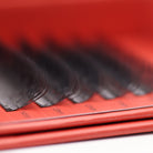 Close-up of Ladybug Lashes 6D Clover fans showing skinny bases and dramatic curl definition from side angle