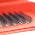 Close-up of Ladybug Lashes 6D Clover fans showing black fibre tips and CC curl structure from above
