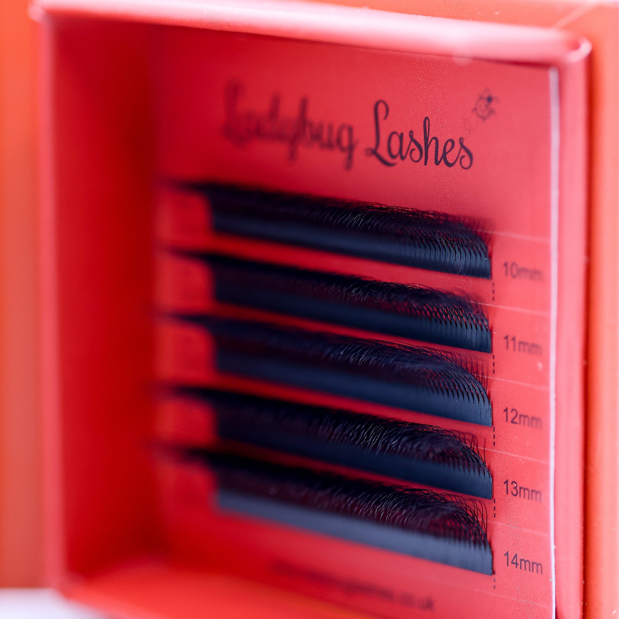 Extreme close-up of Ladybug Lashes 8D Clover fans showing black fibre tips and dramatic CC curl structure from low front angle