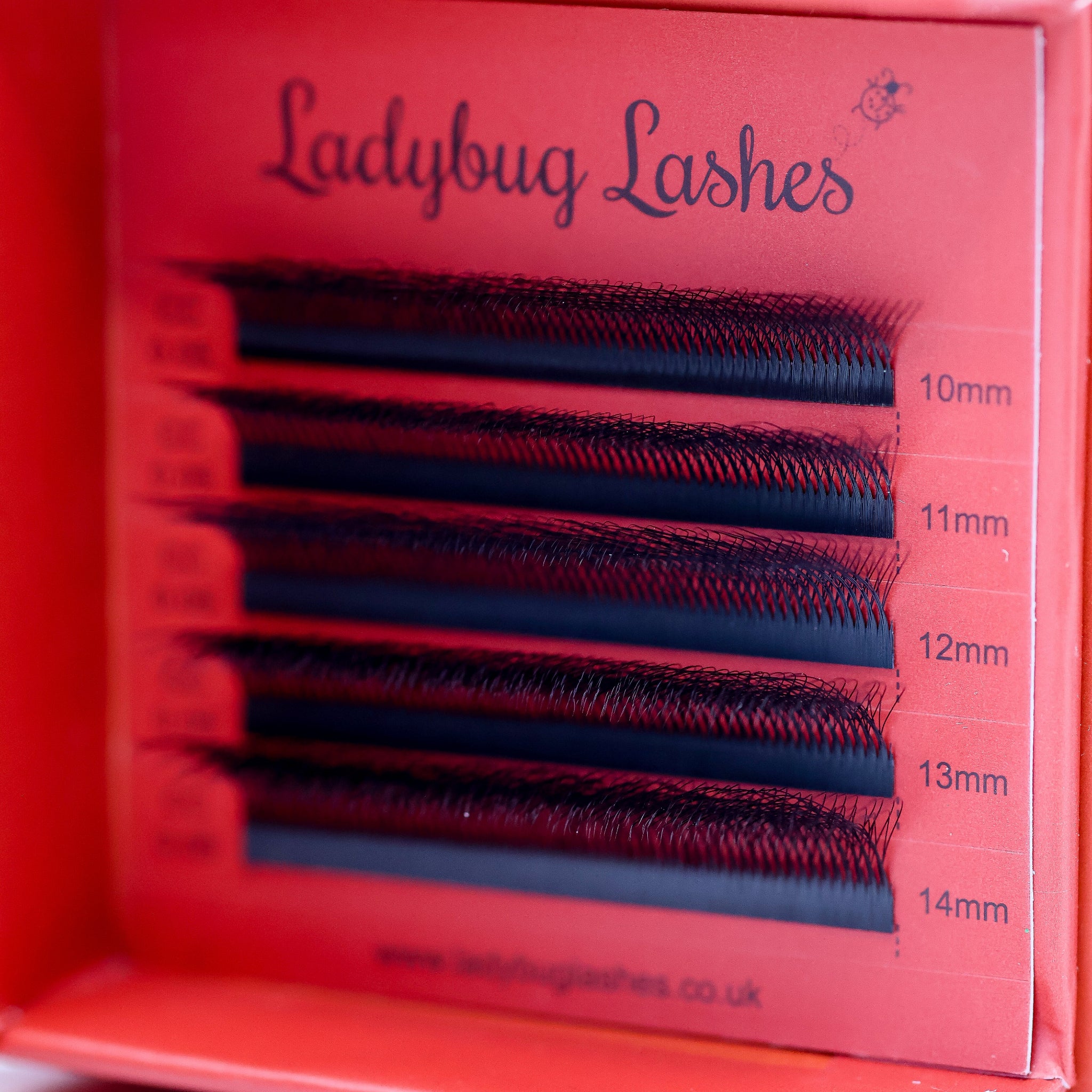 Ladybug Lashes Sample Tray 8D Clover open showing five rows of black CC curl fans in mixed lengths 10–14mm in red branded box from straight front portrait view