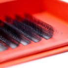 Close-up of Ladybug Lashes Sample Tray 8D Clover showing five CC curl 0.05 rows with black fan tips and curl definition from low front angle