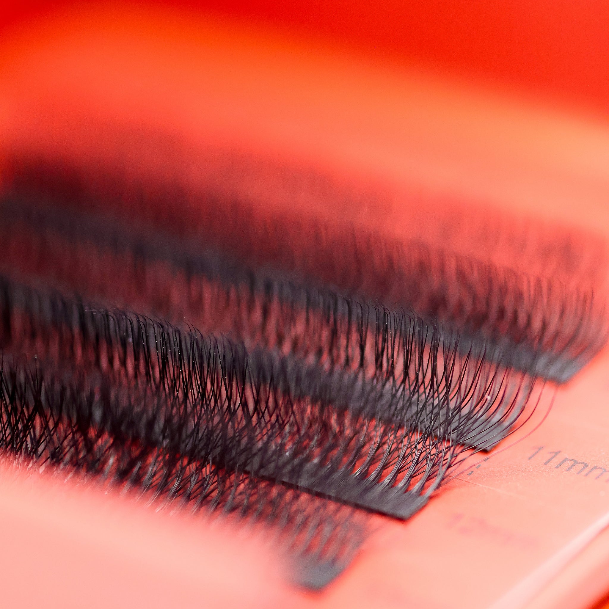 10D Clover Lash Tray Overview – 5-row sample tray, 0.05mm diameter, 10–14mm lengths, C/CC/D curls, Ladybug Lashes