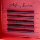 Extreme close-up of Ladybug Lashes classic lash strips in red branded tray showing curl shape and lash density detail