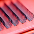 Ladybug Lashes classic lash tray showing CC curl rows in 10mm to 14mm sizes with Ladybug Lashes branding visible on red background