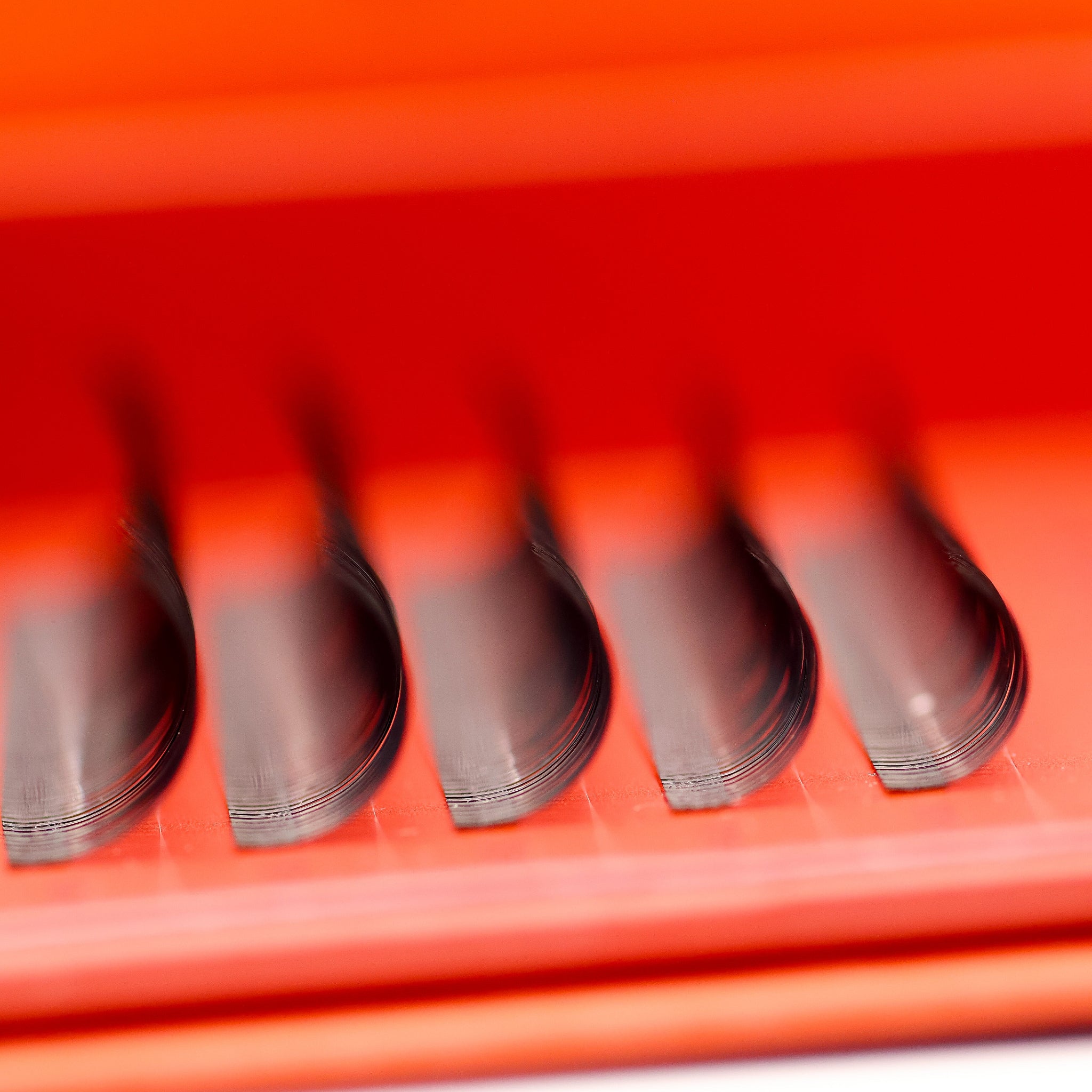 Close-up of Ladybug Lashes classic lash strips in red branded tray showing curl tip detail and lash thickness