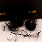 10D 12D 16D 20D Promade Fans D Curl – 0.03mm lightweight fibres, full fluttery volume, 8mm to 16mm lengths