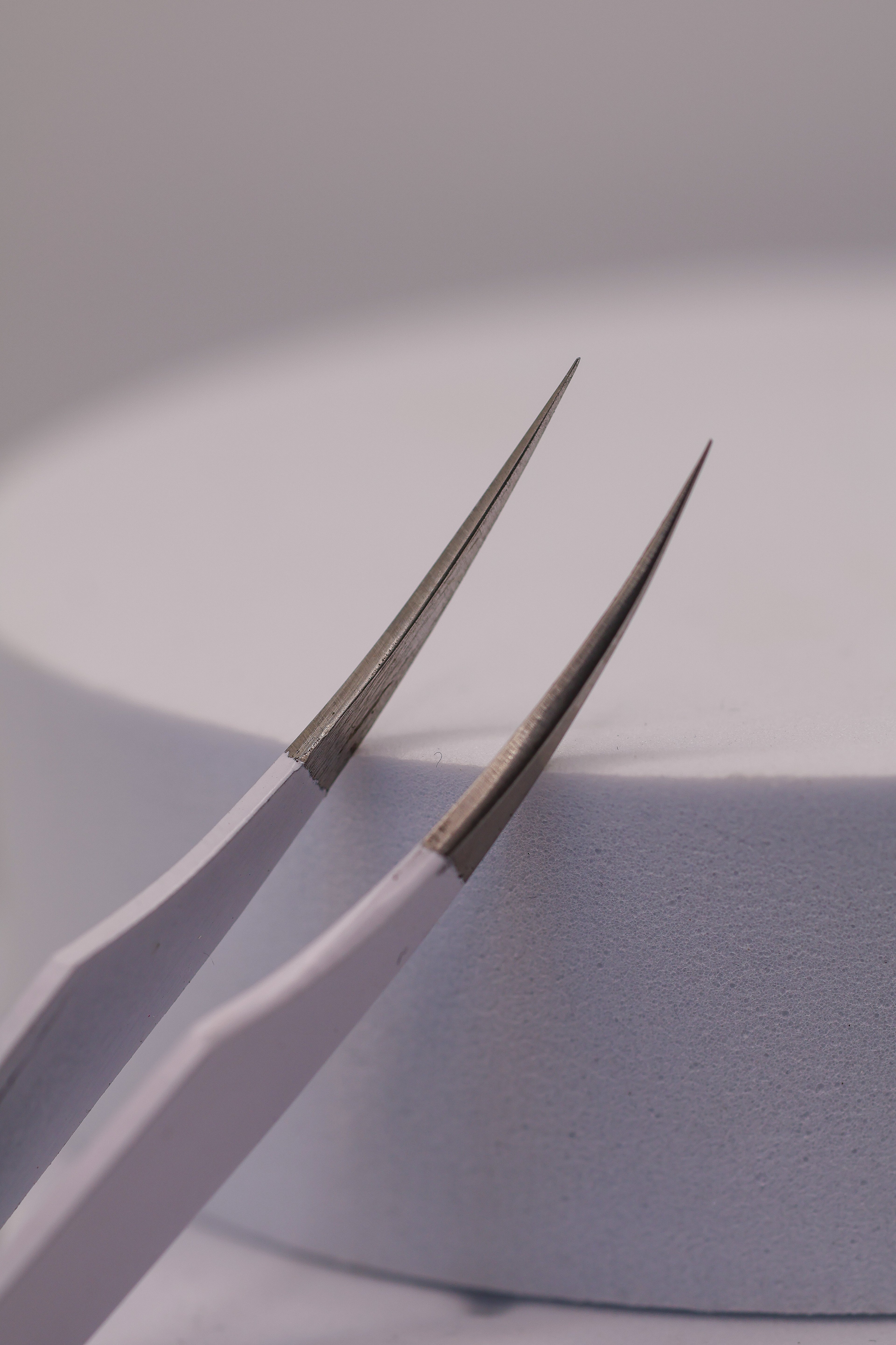 Close-up of LADYBUGLASHES Swoop Tweezers – smooth tip detail