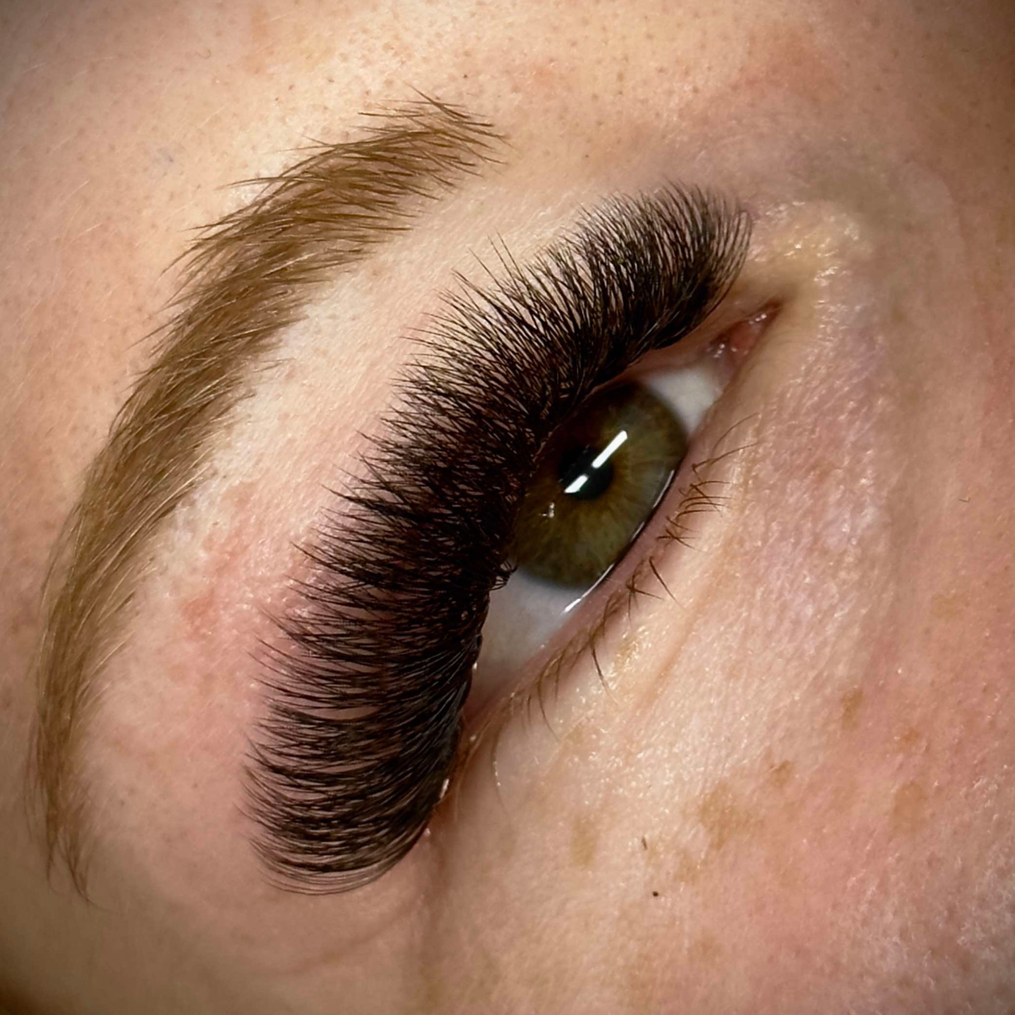 ladybuglashes lashglue lashtrays lashadhesive glueretention cloverlashes wlashes yylashes premades promades lashes