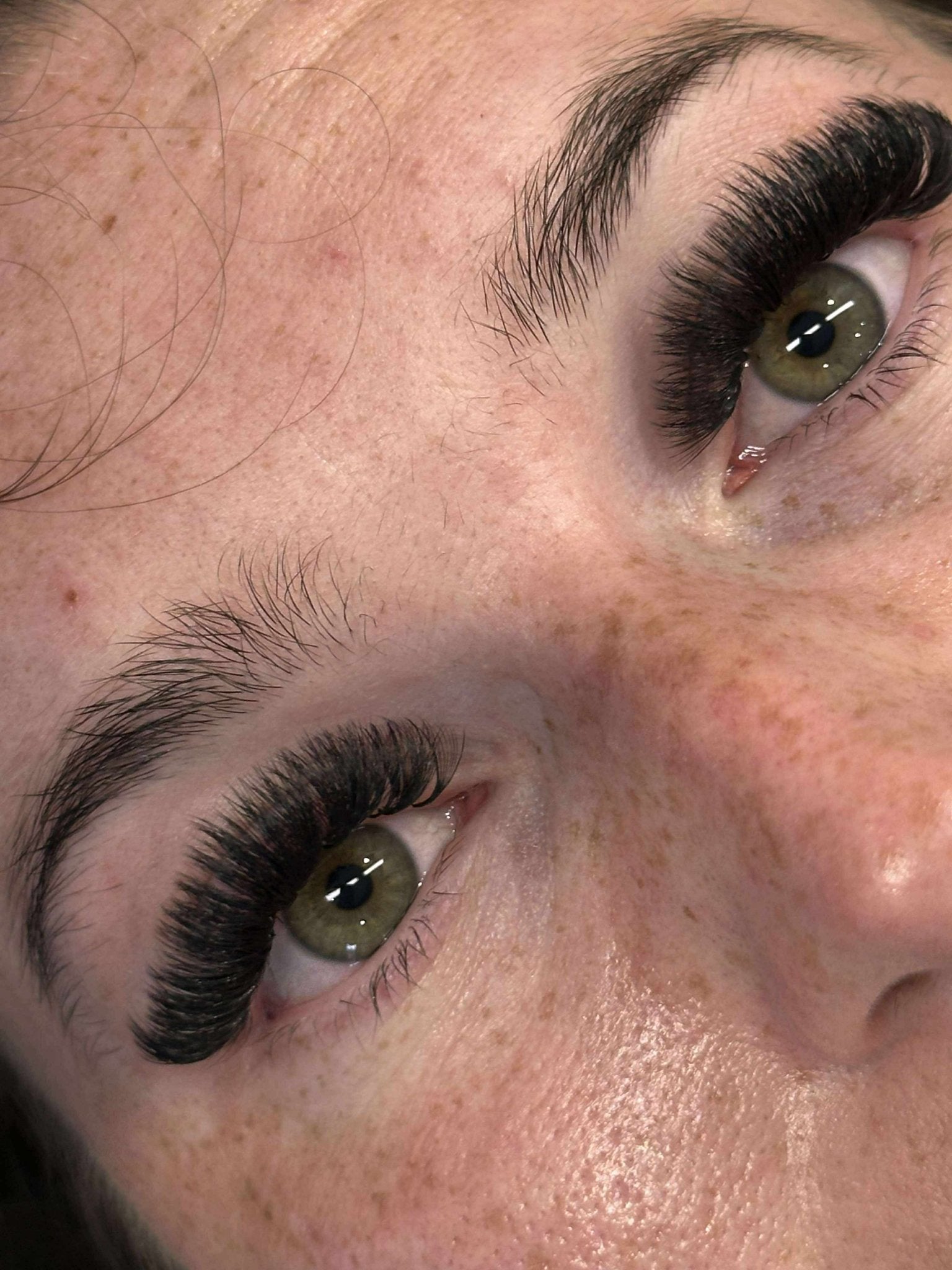 ladybuglashes lashglue lashtrays lashadhesive glueretention cloverlashes wlashes yylashes premades promades lashes