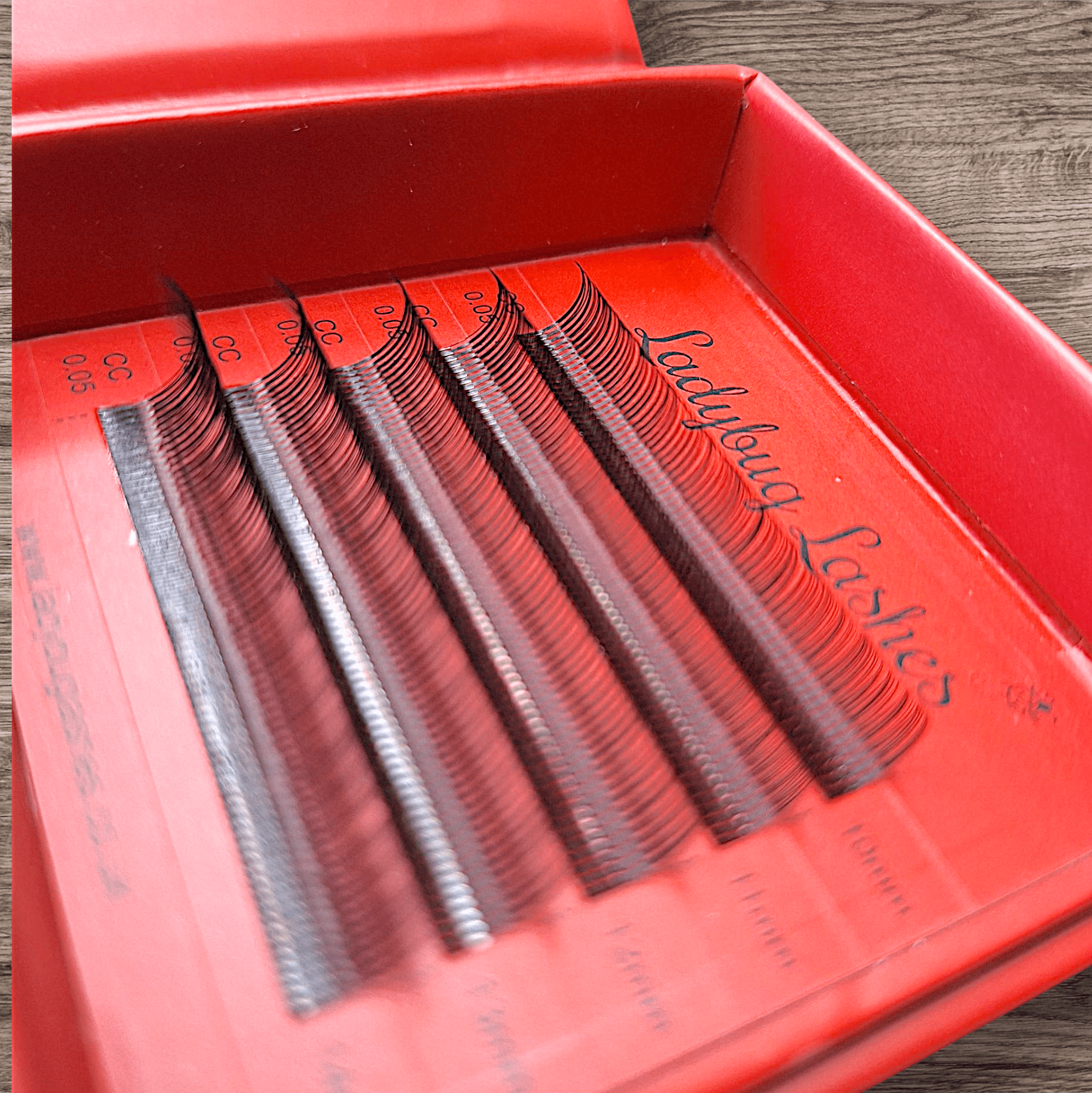 ladybuglashes lashglue lashtrays lashadhesive glueretention cloverlashes wlashes yylashes premades promades lashes