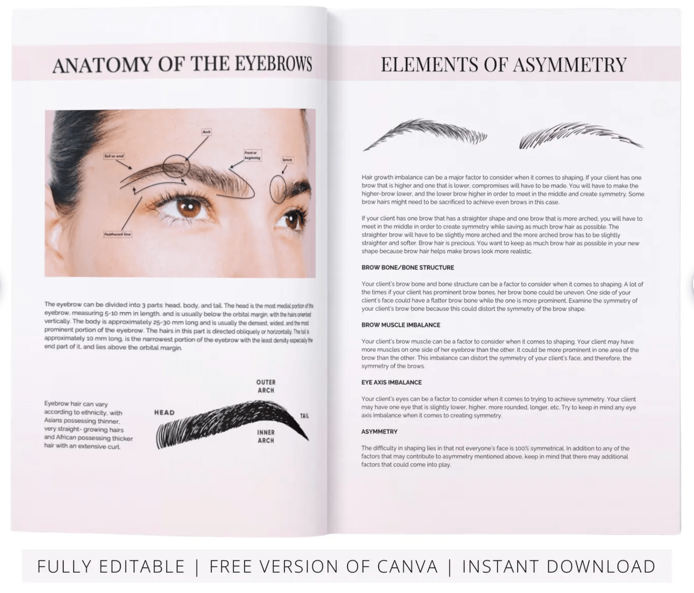 ladybuglashes lashglue lashtrays lashadhesive glueretention cloverlashes wlashes yylashes premades promades lashes