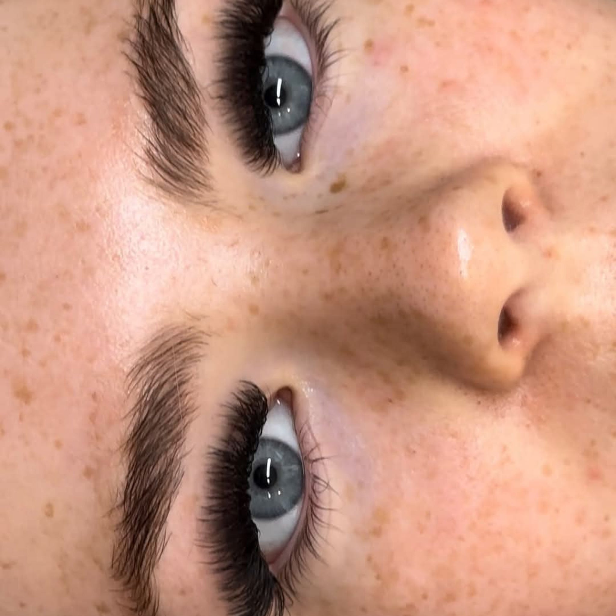 ladybuglashes lashglue lashtrays lashadhesive glueretention cloverlashes wlashes yylashes premades promades lashes